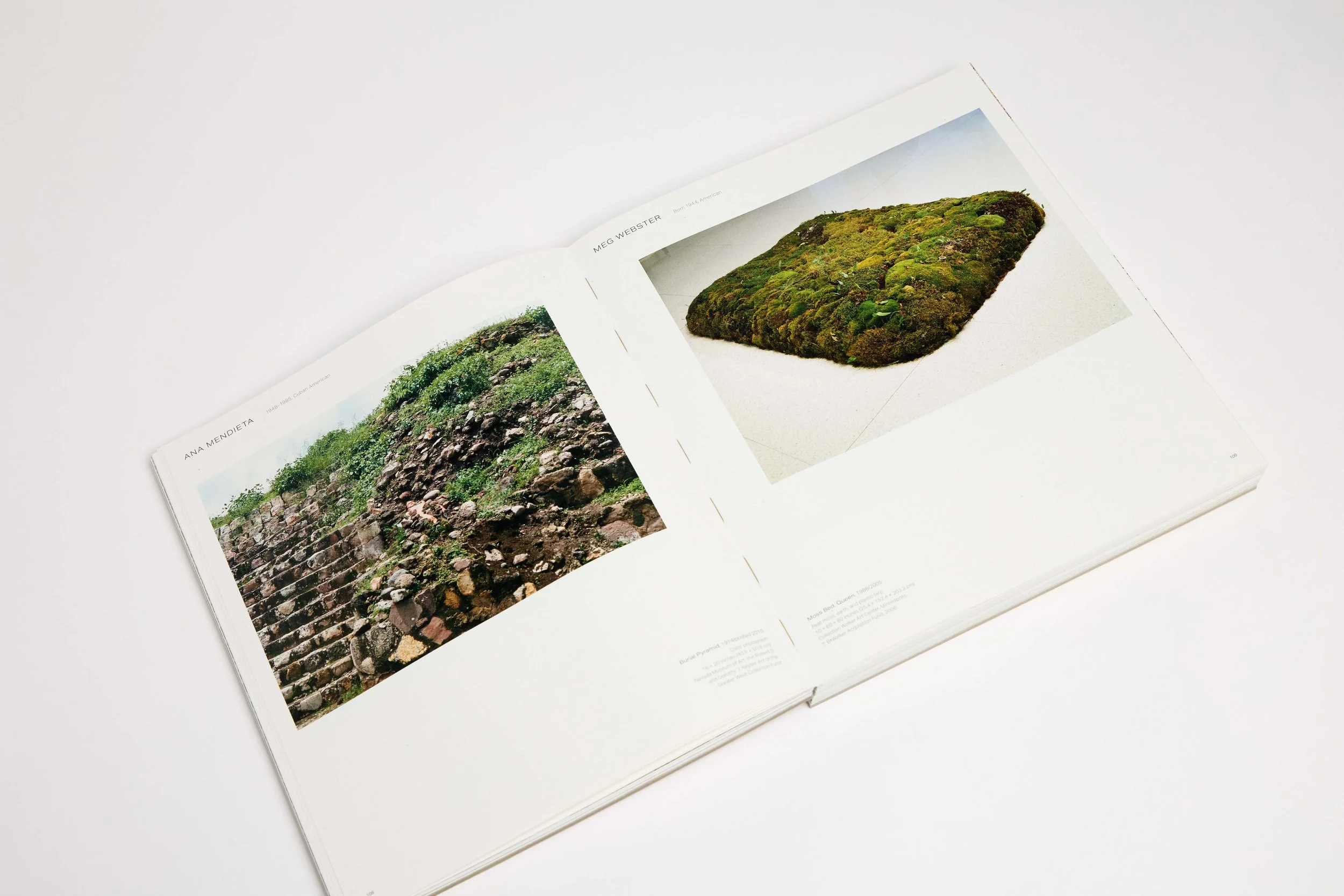 Into the Time Horizon — Radius Books